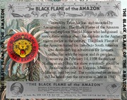 Black Flame of the Amazon cover art